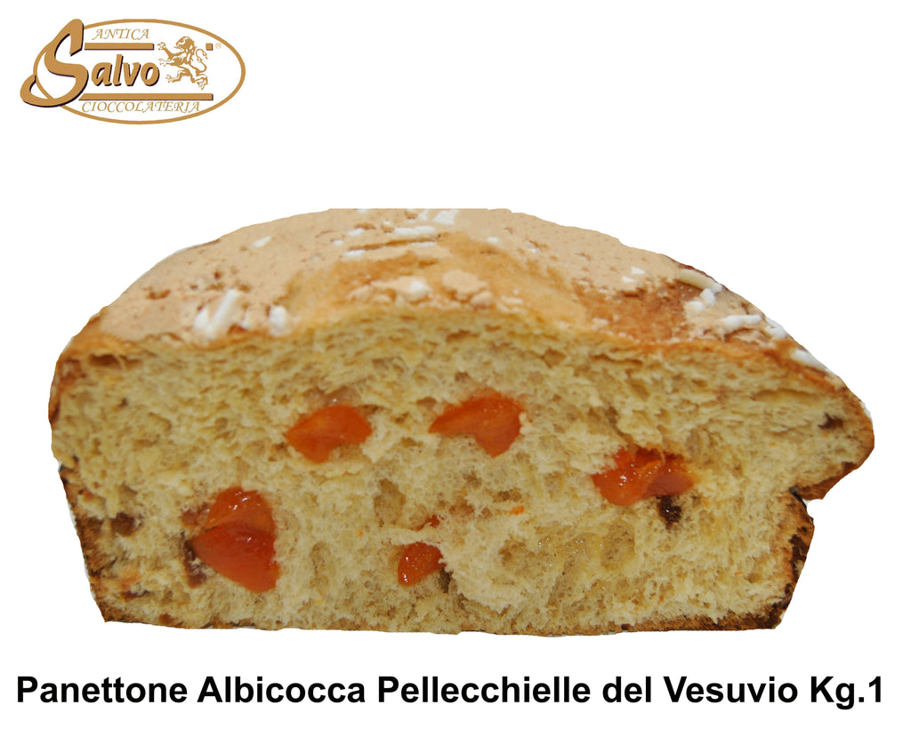 SALVO PANETTONE ARTIGIANALE ALBICOCCA E MANDORLE KG.1