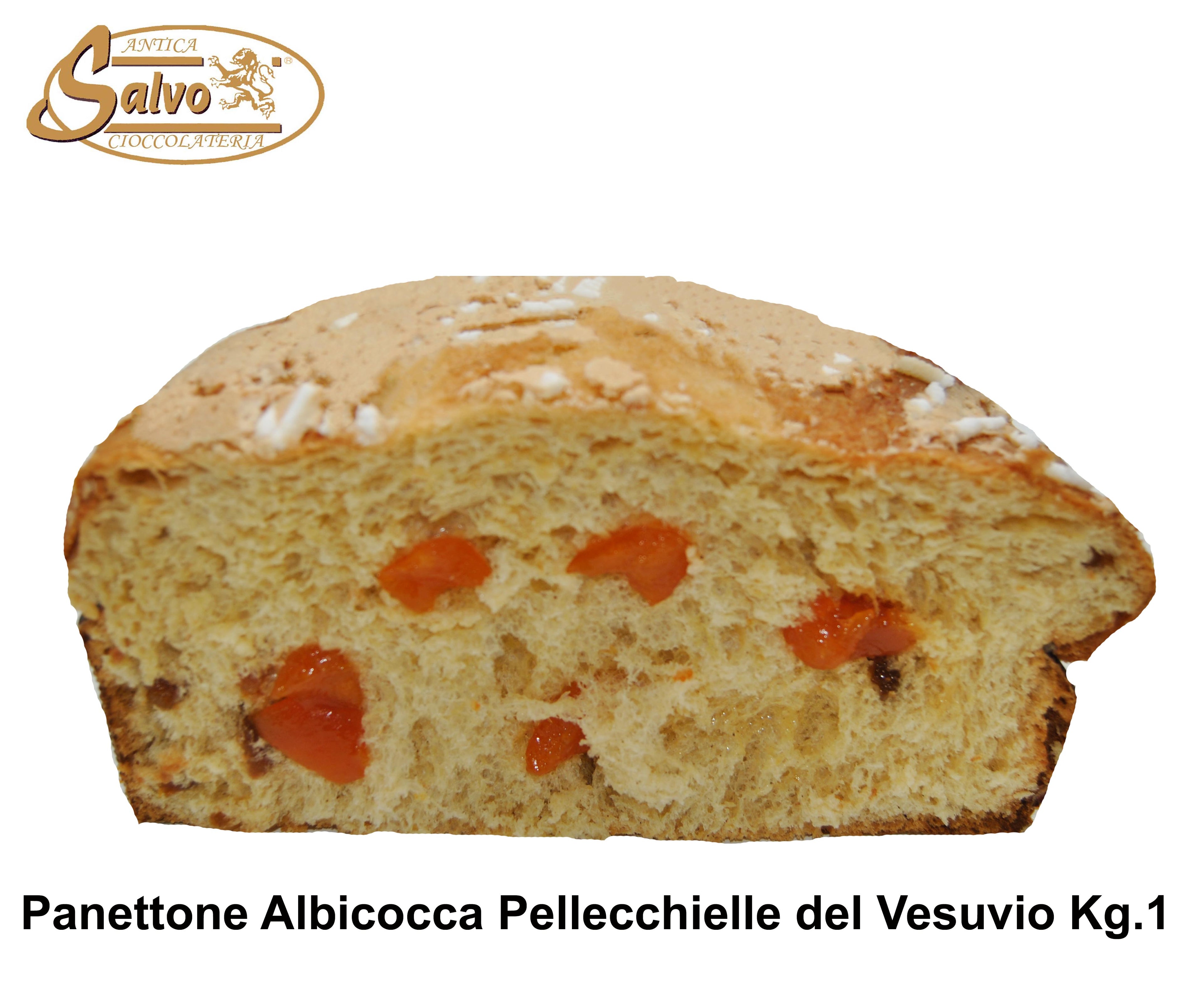 SALVO PANETTONE ARTIGIANALE ALBICOCCA E MANDORLE KG.1