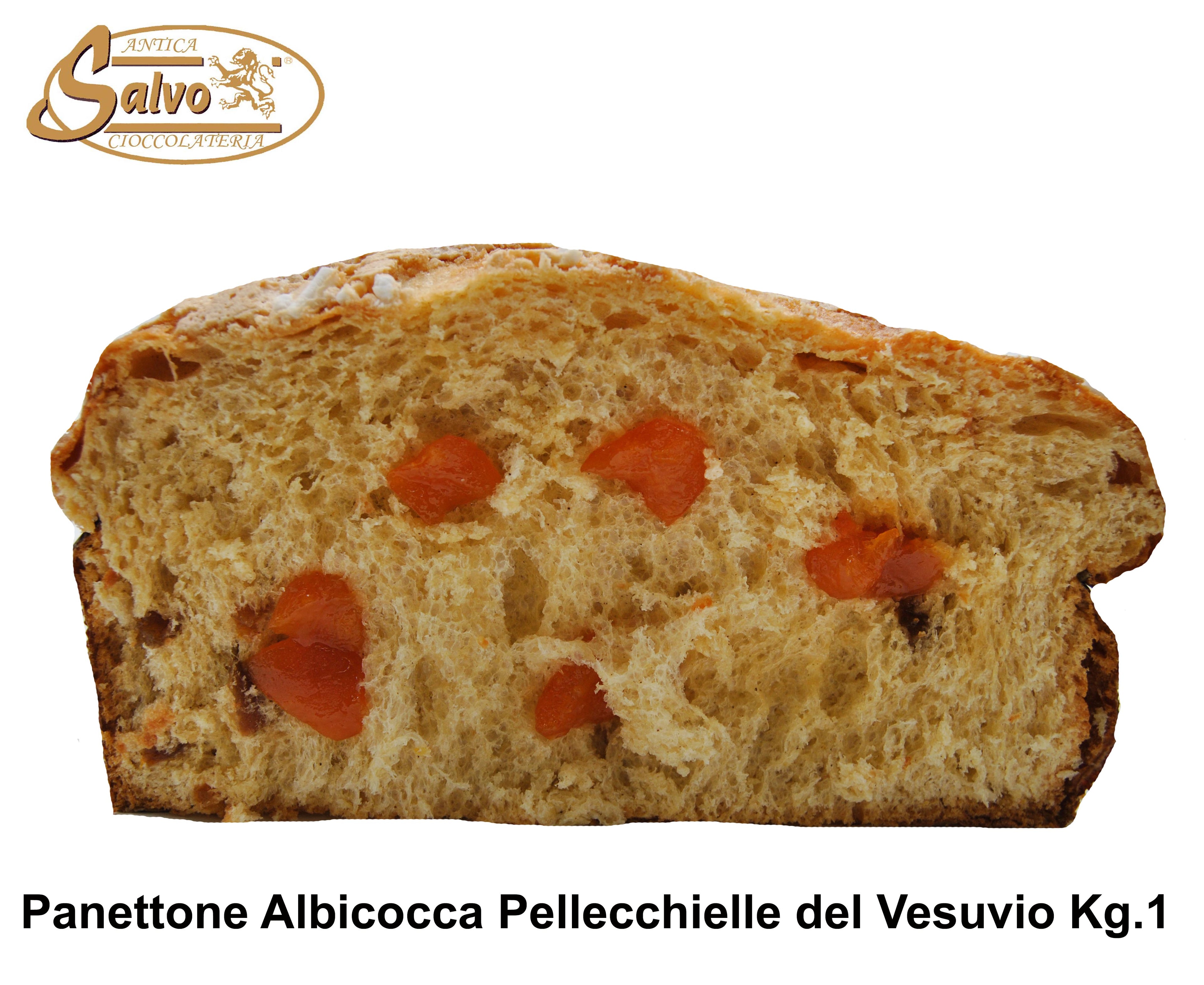 SALVO PANETTONE ARTIGIANALE ALBICOCCA E MANDORLE KG.1